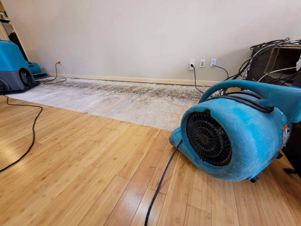 Professional Water Damage Repair technician working in Sabattus, ME